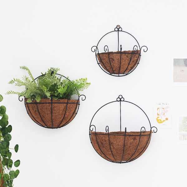 행잉플랜트 코코넛 반달 벽걸이화분 30cm 5,900원