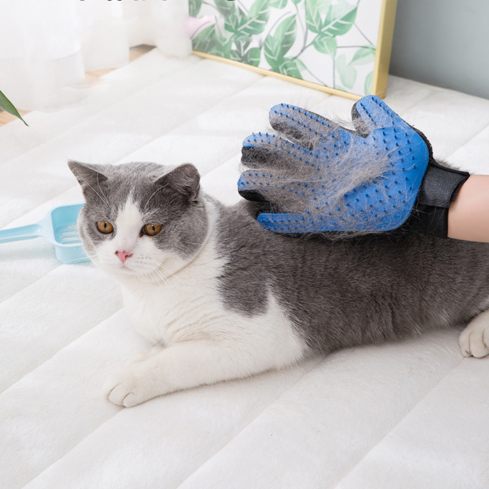 2+2 강아지 고양이 털갈이 브러쉬 장갑 강아지빗 고양이빗 개빗 애견빗 빗 애견 용품 털갈이빗 7,820원