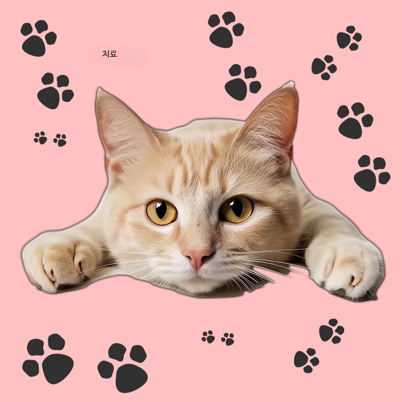 대형 고양이원목캣타워 럭셔리 반려묘 하우스 실내 인테리어 고양이집 케이지 견고한 고양이가구 캣워크 스크래쳐 포함 공간 활용도 높은 캣타워 257,900원