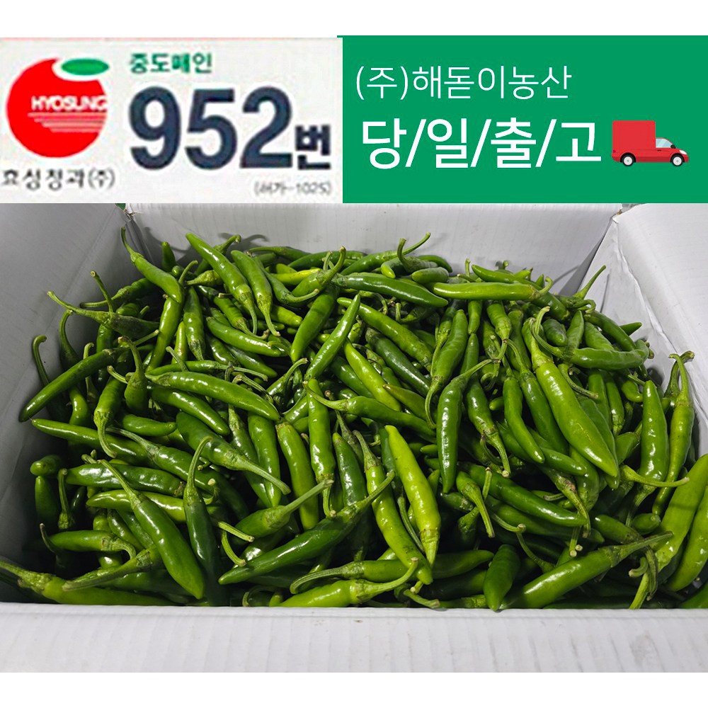 해돋이농산 국내산 청양고추 매운고추 못난이고추 1kg 2kg 3kg 5kg 10kg내외(상세페이지참조) 9,000원