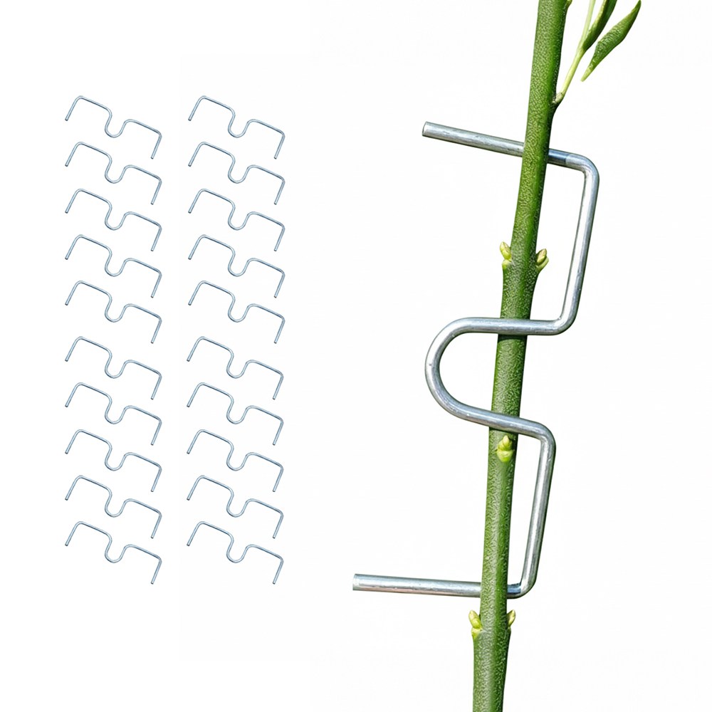 아띠꼴로 잘 휘어지네 가지유인 E클립 사과나무 이클립 50개 중형, 50개 8,000원