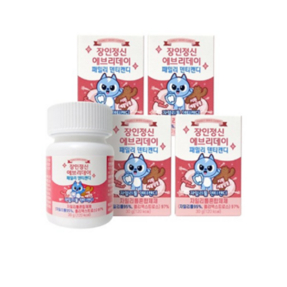 장인정신 에브리데이 패밀리 덴티캔디 30g*20개 415,000원