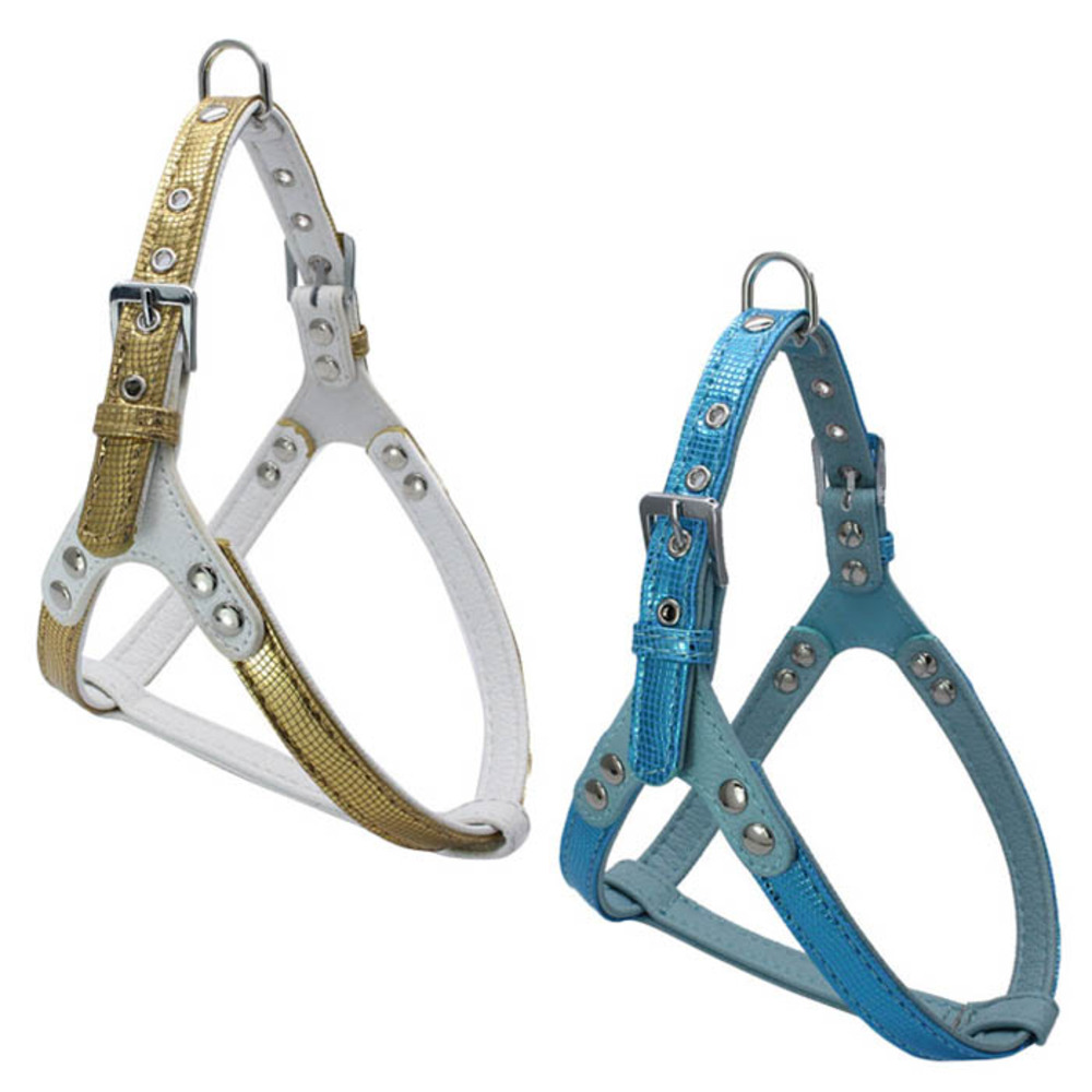 펫나인 강아지와 고양이 인조 뱀피 스타일 하네스 골드 + 블루 13,650원