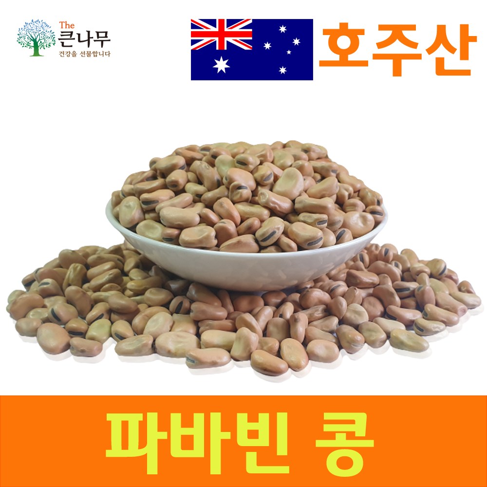 The큰나무 호주산 파바빈 콩 원물 항공직수직수입 98,800원