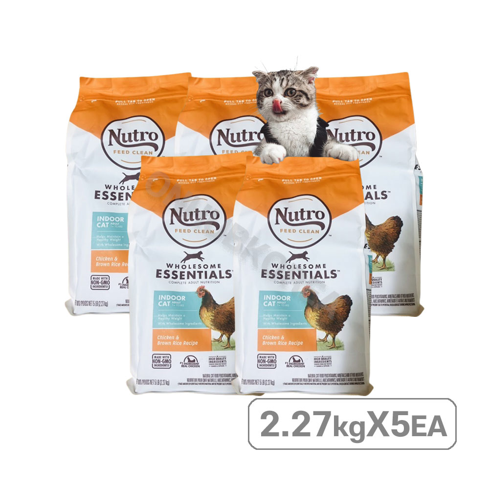 뉴트로 1세이상 인도어 닭고기와 현미 건식사료 189,900원