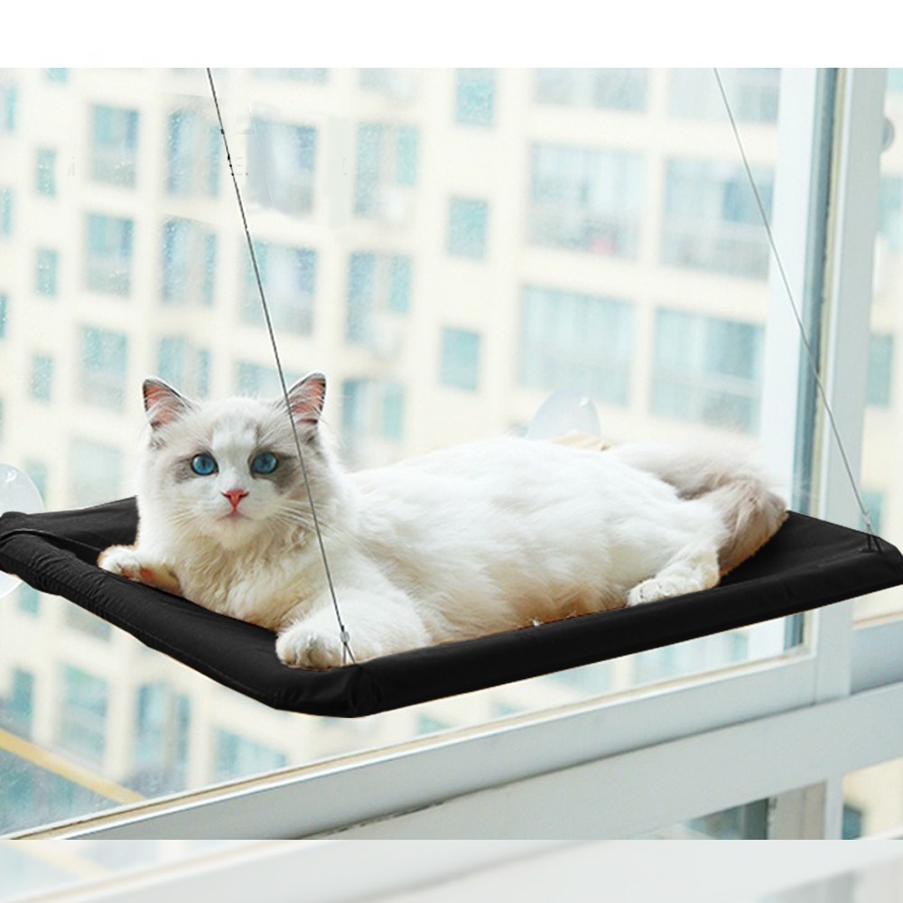 펫츄츄 고양이 창문 해먹 윈도우 창틀 침대 유리 쿠션 창문해먹 흡착 창가 6,300원
