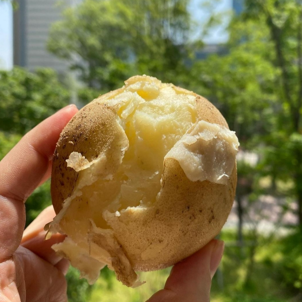 꿀품 강원도 수미 감자 햇감자 9,900원