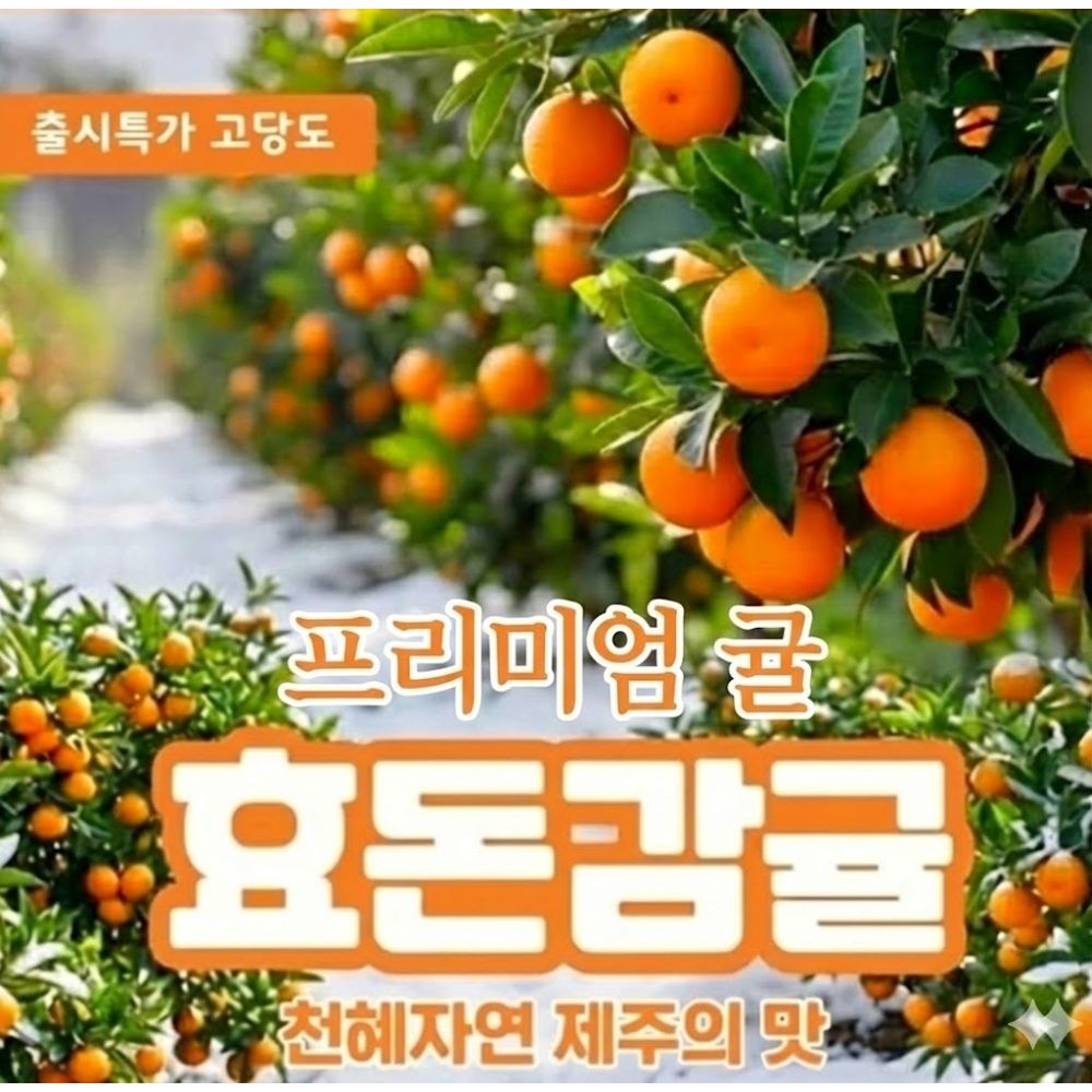 고당도 프리미엄  제주감귤 서귀포 제철과일 감귤 10kg~2kg 21,600원