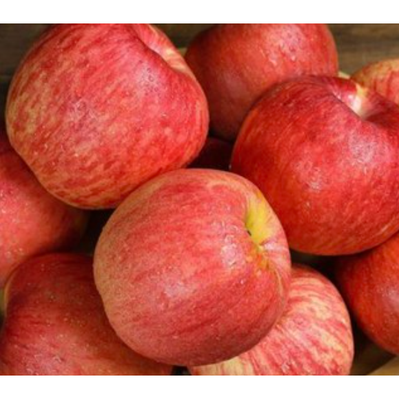 [50박스한정]12brix이상 특수선별 초특가 경북 부사 사과 36,500원