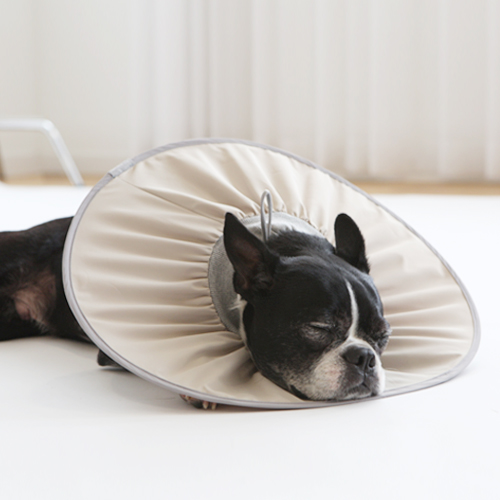 펫인뷰티 제로 넥카라, 오트밀, 1개 21,600원