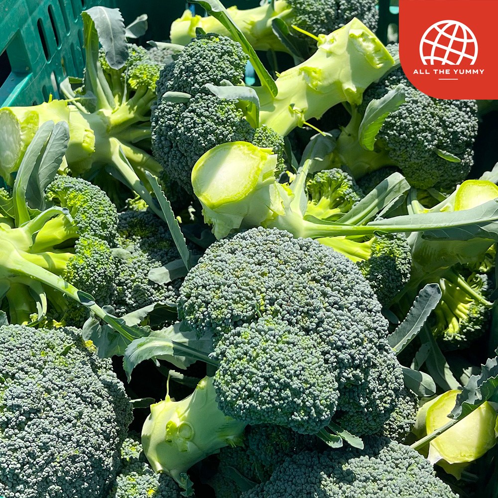 [올더야미] 제주 산지직송 유기농 브로콜리 3kg(6-9송이), 단품 76,000원