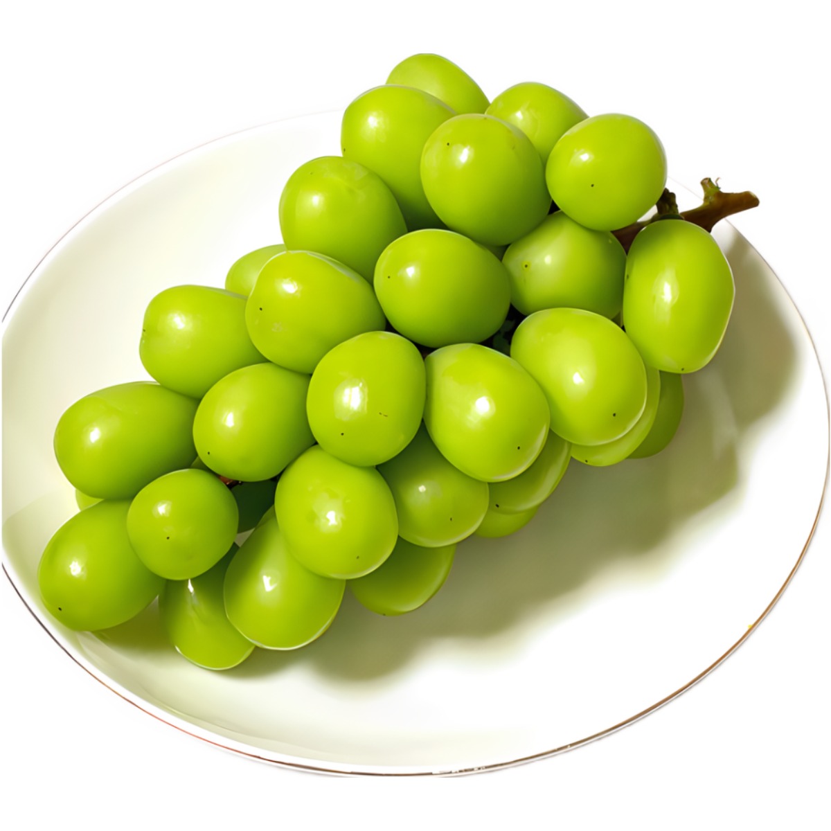 당도선별 국산 유명산지 샤인머스켓 김천 경산 상주 14,900원