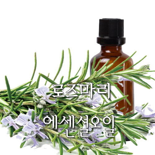 허니솝 로즈마리 아로마 에센셜오일 3,000원