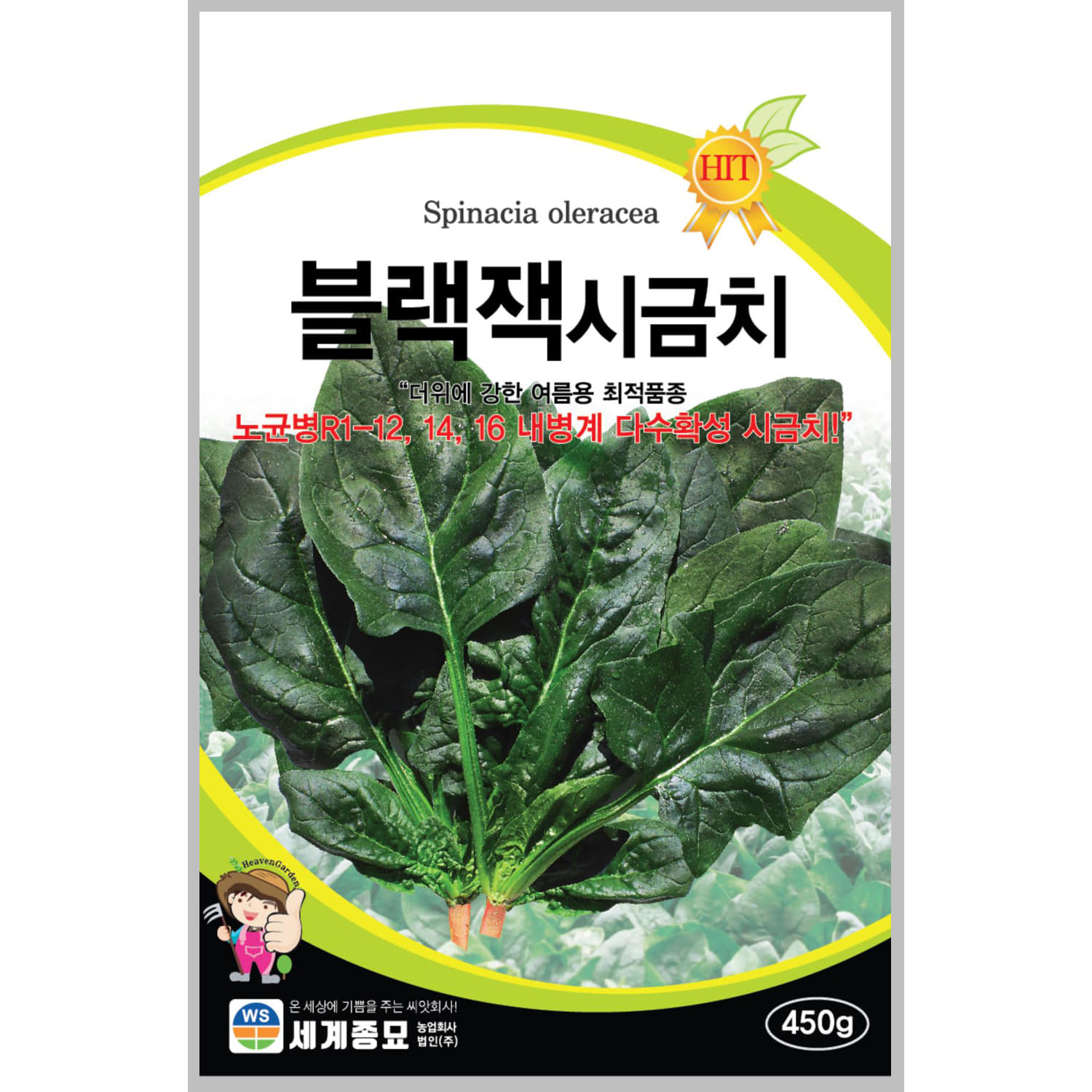 [주주씨앗] 대포장 고온기 여름 시금치 씨앗 450g / 내병성 블랙잭시금치 종자 / 대포장 채소씨앗 씨앗몰, 1개 33,000원