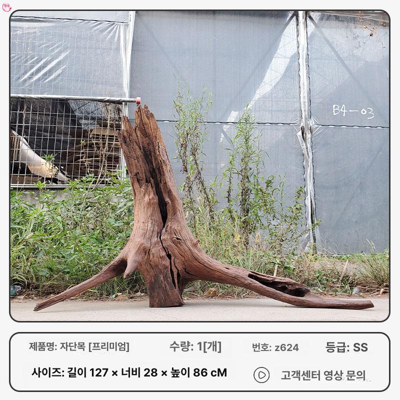 어항 수족관 성형유목 장식품 관상어 해수어 식물 수생 722,800원