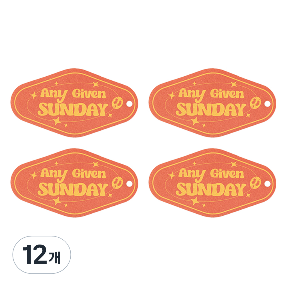 벤딕트 차량용 종이 방향제 퍼퓸 샤쉐 프래그런스 태그 11g 24,230원