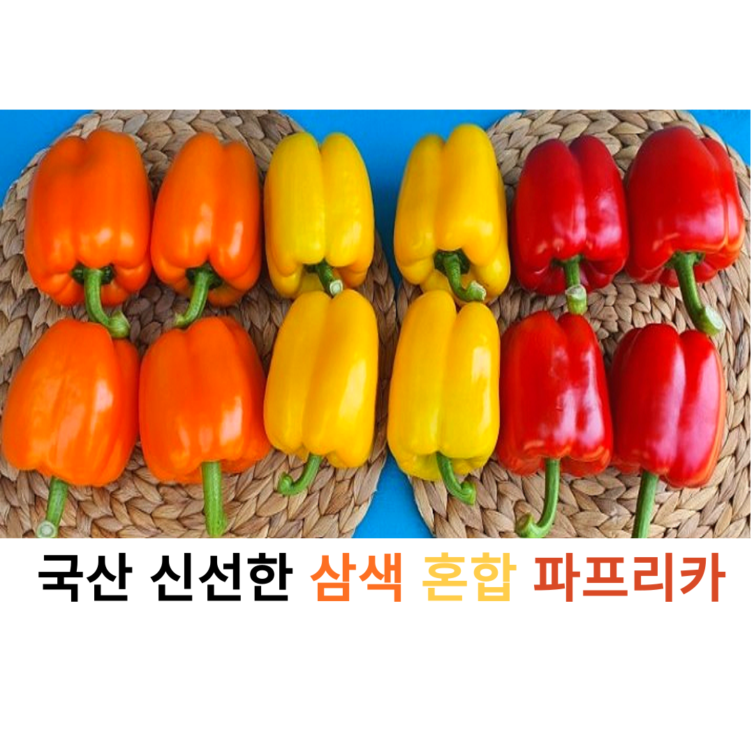국내산 신선한 삼색 혼합 파프리카 1kg 2kg 3kg 5kg 가정용 업소용 대용량 싱싱한 국산 파프리카 못난이 빨강 주황 노랑 24,600원