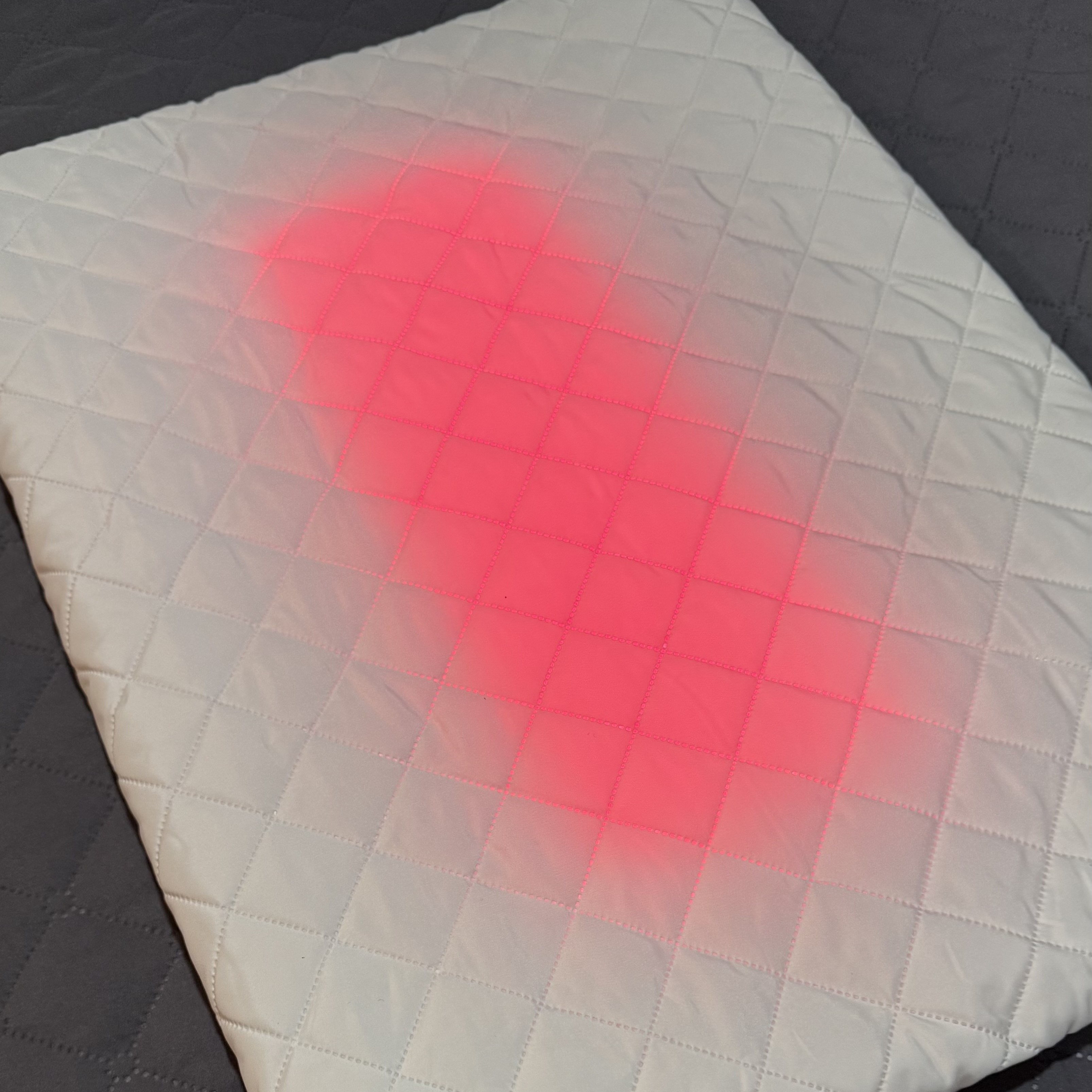 힐링베드 반려동물 근적외선 온열매트 따듯한 쿠션 방수 소중형견용 199,000원