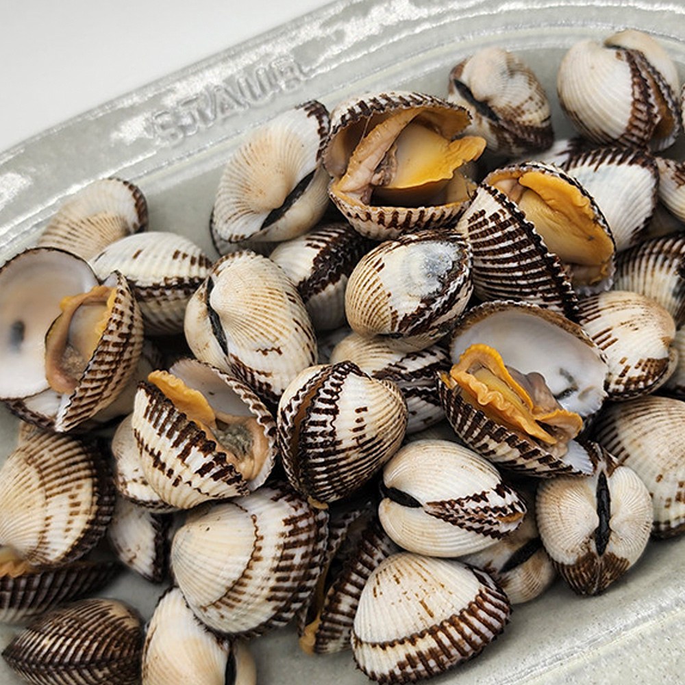 벌교 새꼬막 당일조업 1kg 제철 국내산 꼬막 산지직송, 1개, 1kg 특대(70미 내외) 9,600원