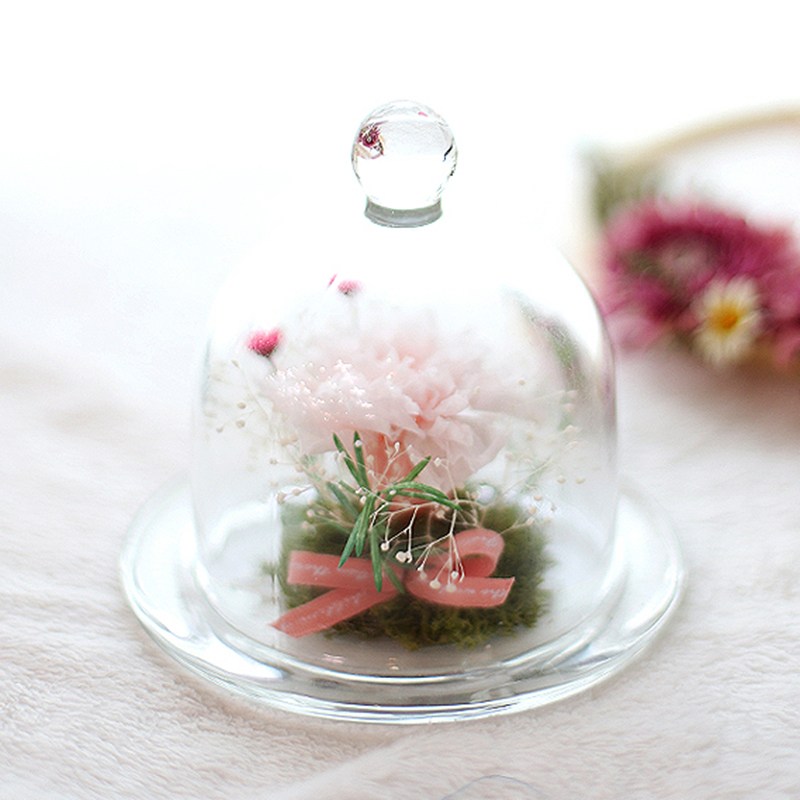 쿠루 캔들 미니 버드돔 유리돔 글라스돔 글래스돔 2,000원