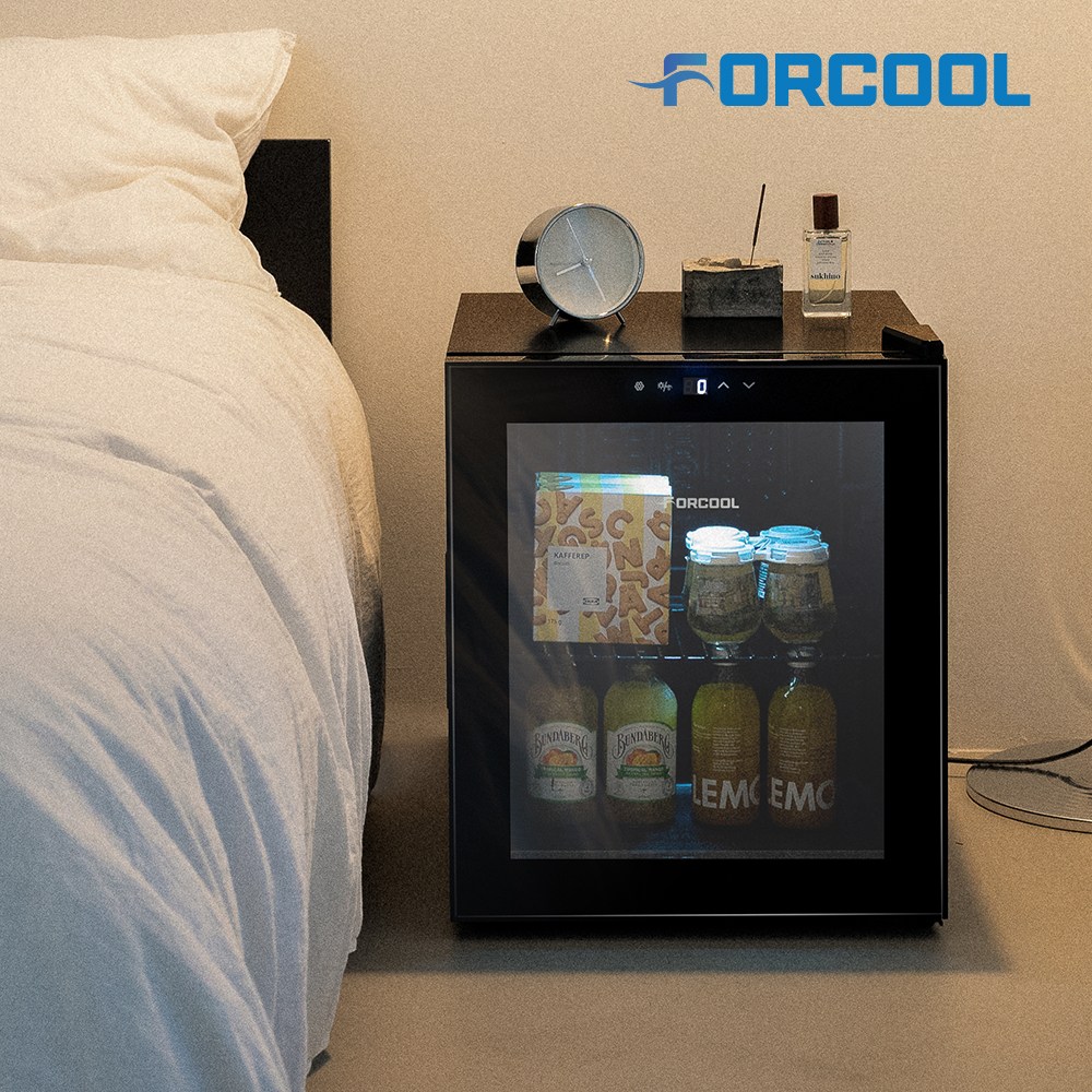 포쿨 음료수냉장고 쇼케이스 미니 가정용 업소용 음료 술장고 50L 218,000원