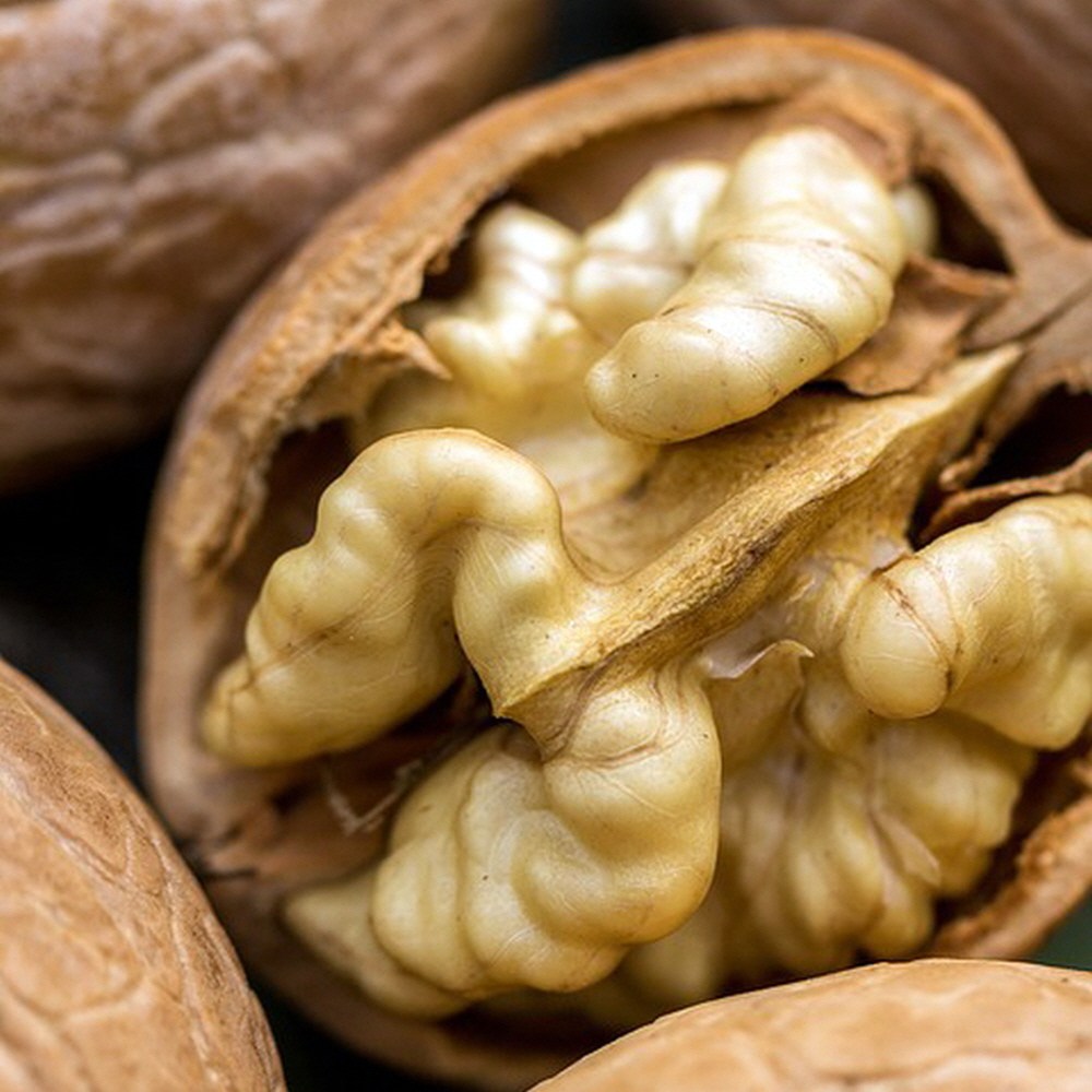 국산 깐호두 300g 햇호두 경북 김천 백두대간농산, 1개 36,900원