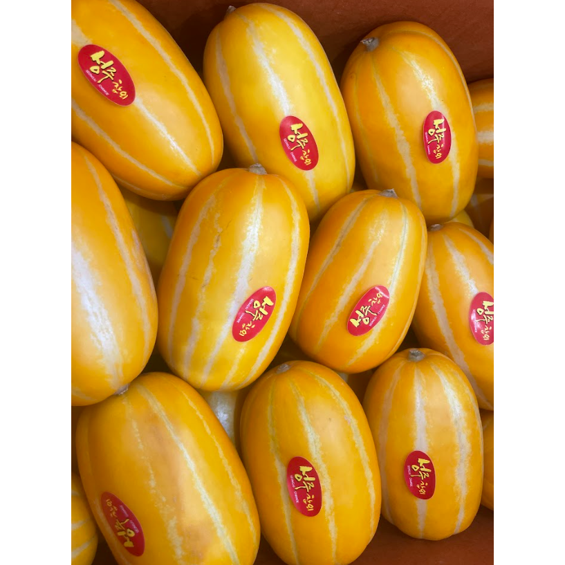 [꿀당도보장] 성주 참외 3kg 5kg 최상급 성주참외 100% 꿀벌수정 선물용 꿀참외 13,500원