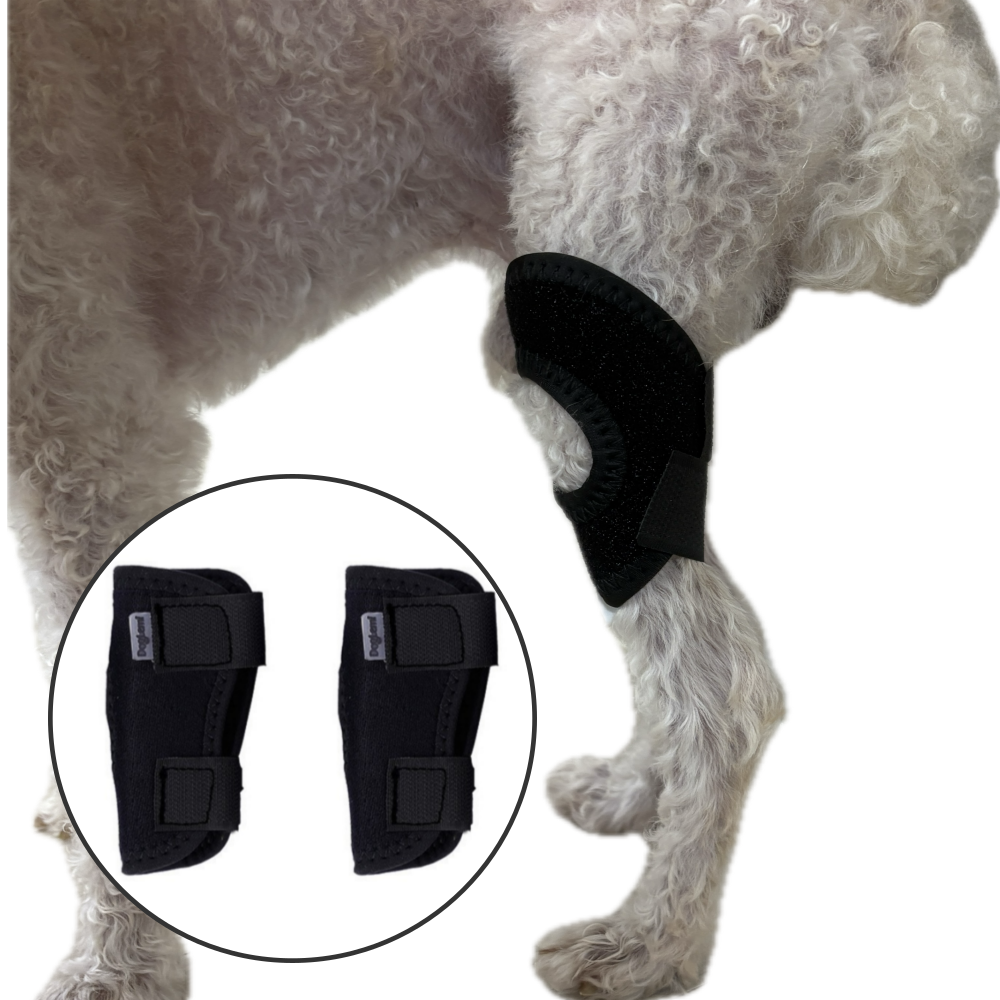 레인펫 강아지 슬개골 보호대,S, 1세트, 14g 12,800원