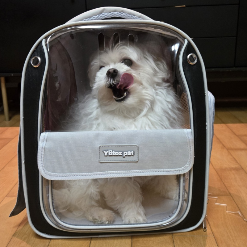 PSMK 강아지 이동가방 고양이가방 백팩, 1개, 그레이 22,600원