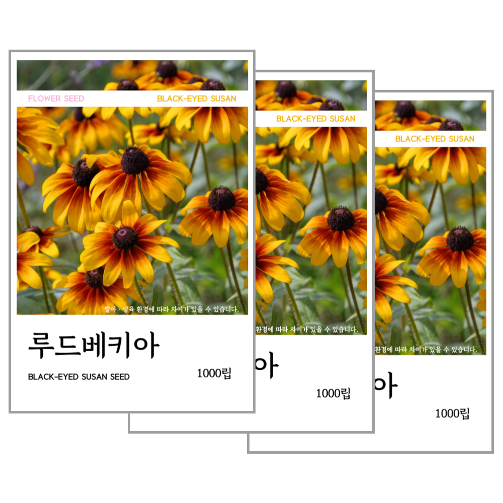 루드베키아 씨앗 1000립, 3개 7,500원