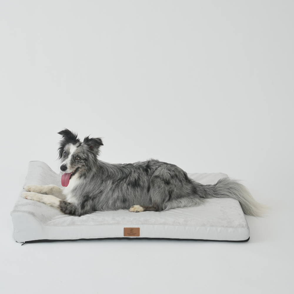 강아지 마약방석 방수 세탁 가능한 커버 미끄럼방지 소형견 중형견 대형견 애견 쿠션 푹신한 사계절 반려동물 펫방석, 그레이, 1개 58,500원