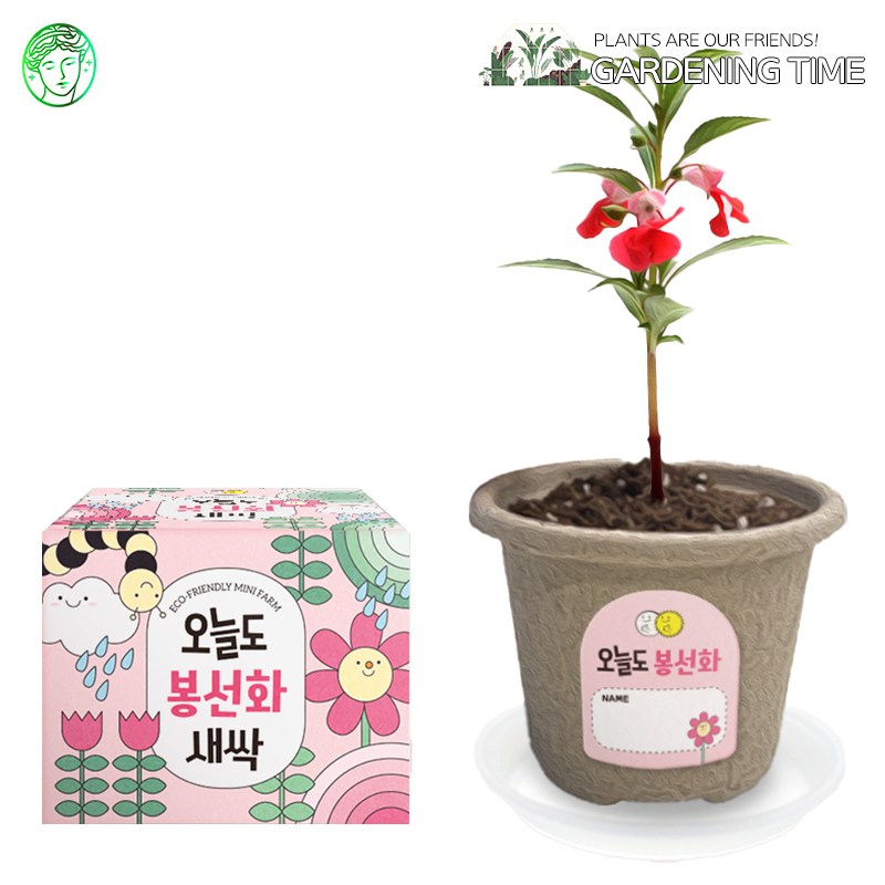 예스통상 <씨앗 식물 키우기 재배키트 50종> 모음전2 / 강낭콩키우기 토마토키우기 원예체험 텃밭가꾸기 새싹키우기 2,600원