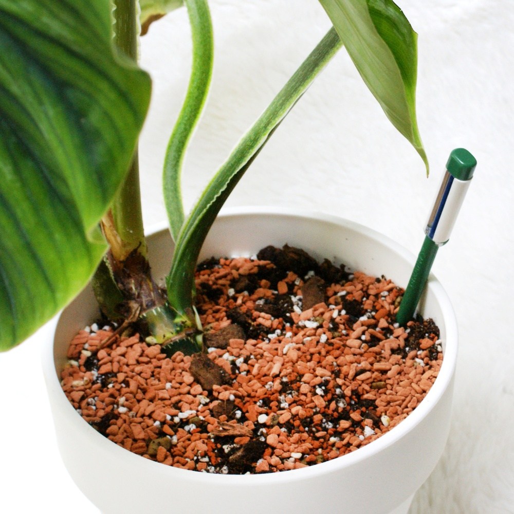 세라미스 수분측정기 식물 화분 수분측정 토양 흙 수분센서 3,470원