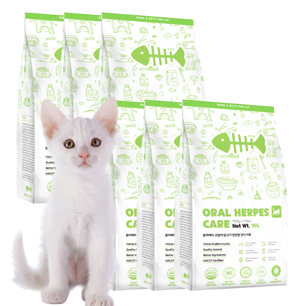 본아페티 고양이 허피스 사료 구강 면역력 구내염 기능성 무보존제 건식 사료, 면역/항산화, 1kg, 6개 99,000원