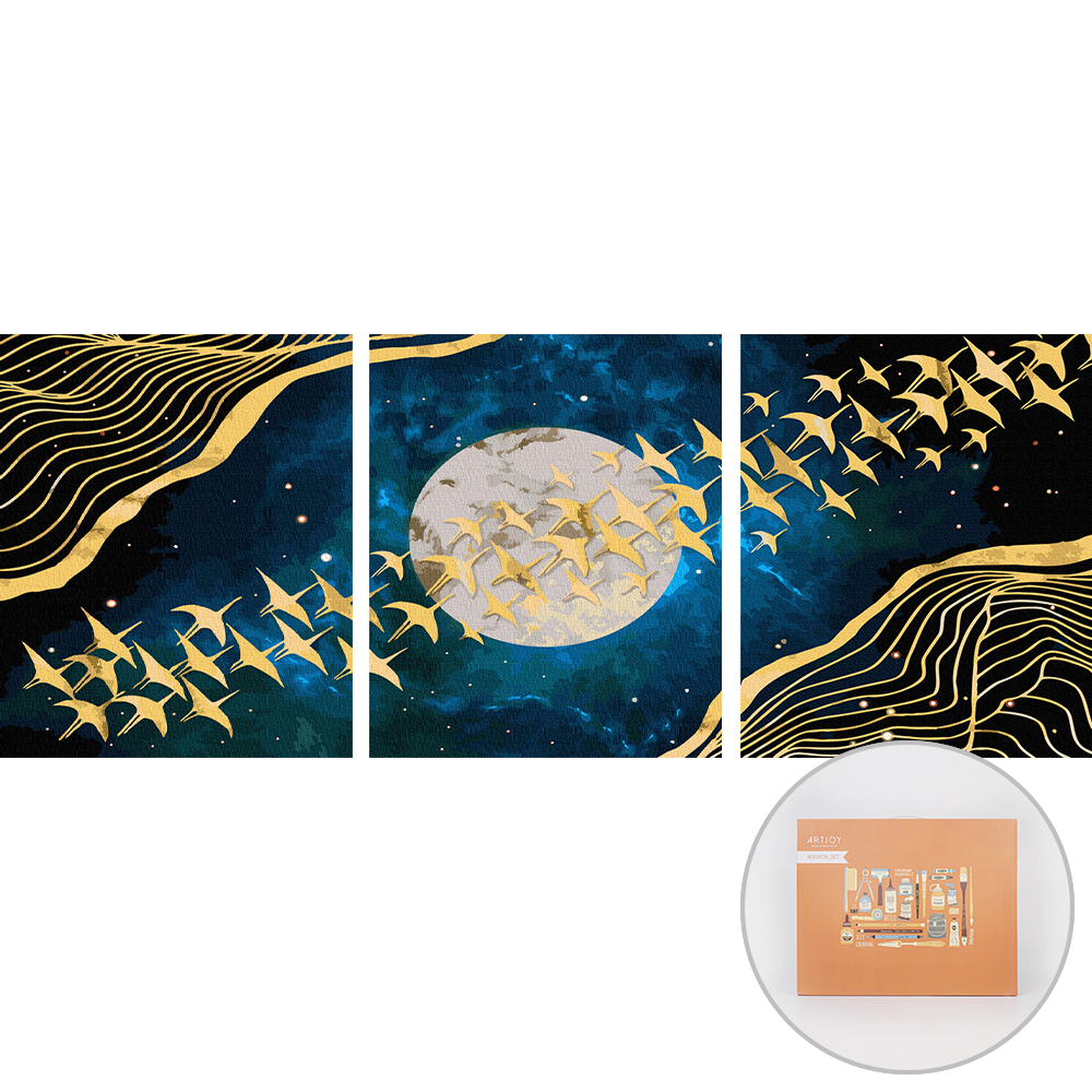 아트조이 DIY 명화 그리기 3단세트 40 x 50 cm 33,990원