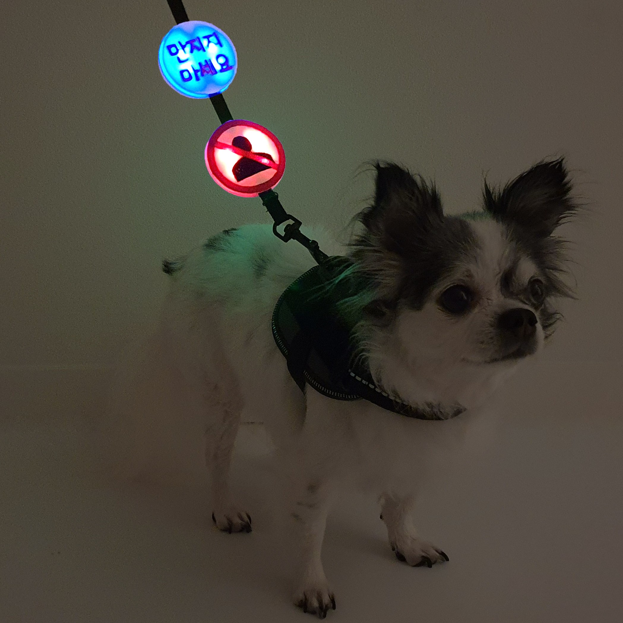 따봉공방 밤산책 강아지 led 야간 라이트 불빛 블링커 옐로 와펜 패치 슬로건 명찰 인식표 이름표 네임택 벨크로 양면 커스텀 19,900원