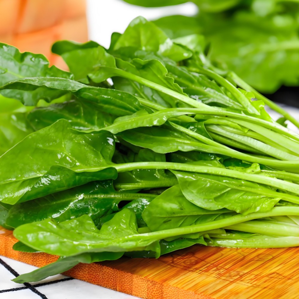 [노마진초특가] 식감좋음 보물초 아삭촉촉 시금치 7,900원