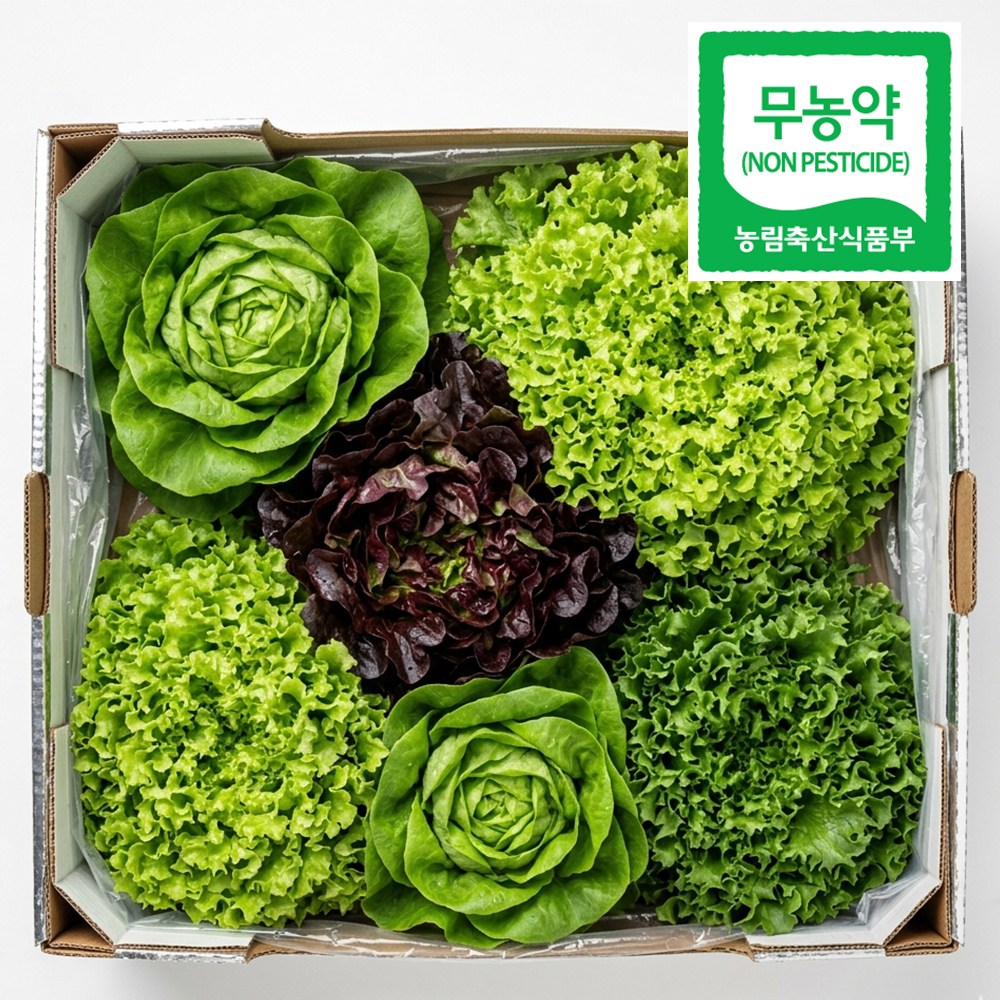 자연한입 무농약 유러피안 샐러드 모둠 쌈채소, 1kg, 1개 13,900원