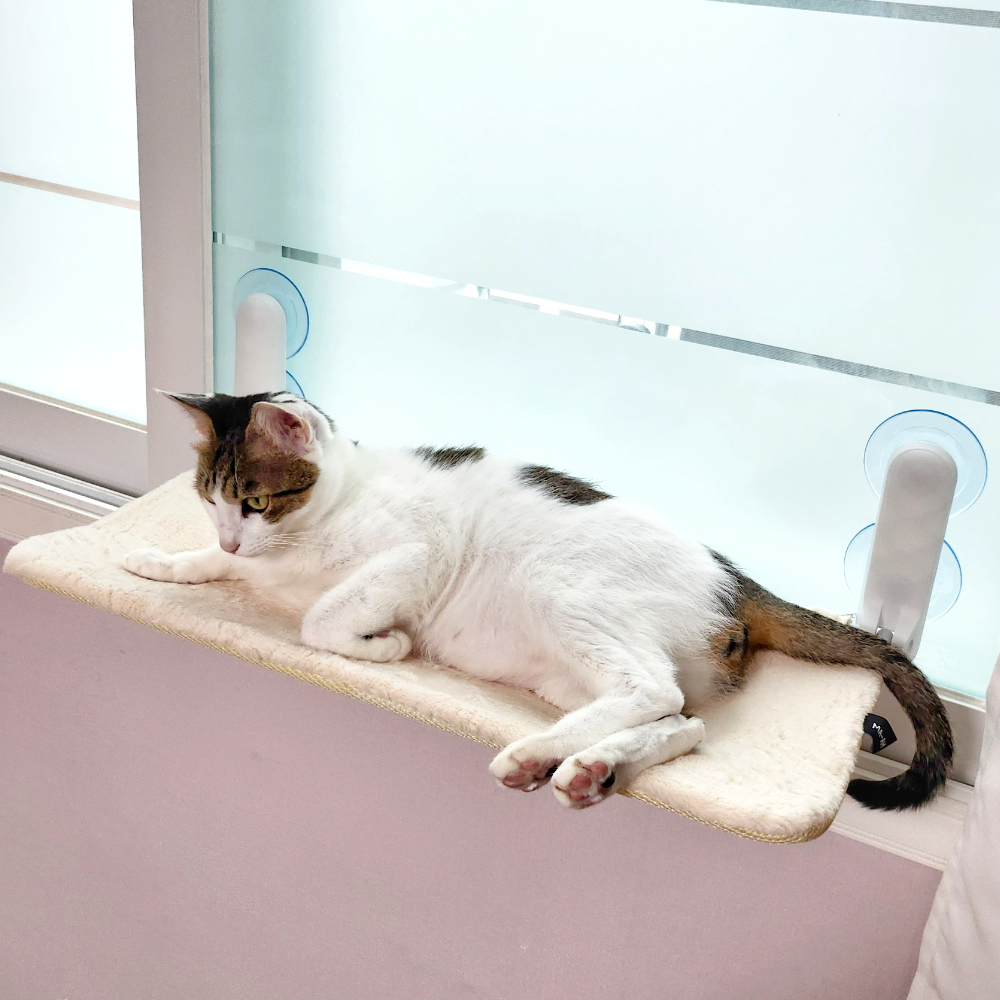 마아 고양이 강력 흡착 폴딩식 창문 해먹, 혼합색상, 1개, 현재가 19,900원