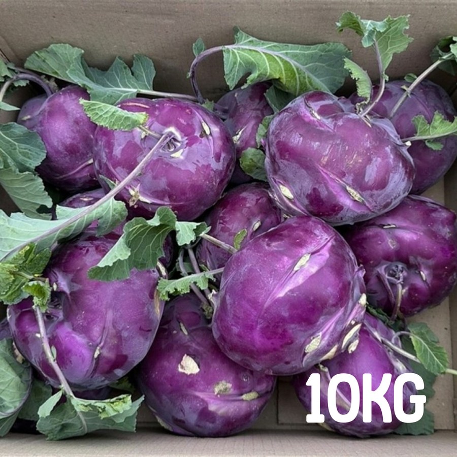 싱싱한 콜라비 10kg 비타민폭탄 아삭아삭 꿀맛보장 웰빙 채소 국내산 54,700원