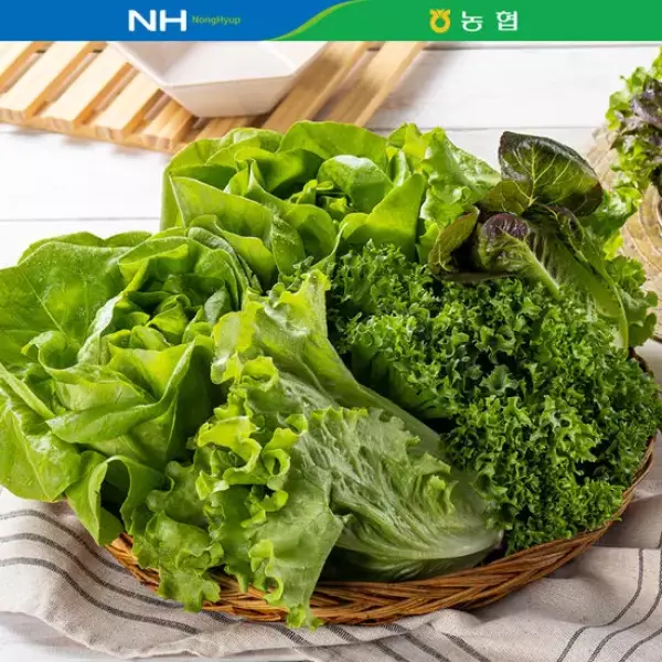 당일수확 유러피안 샐러드 1kg(4종) GAP인증 18,200원