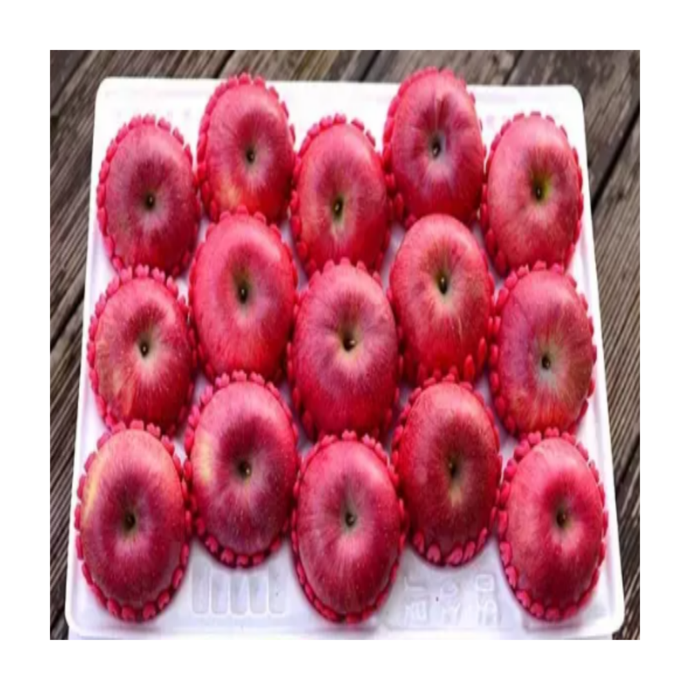 ( 고당도 사과 ) 경북 특품 사과 정품 부사 사과 (정품), 1개, 5kg 중과 (정품) 60,300원