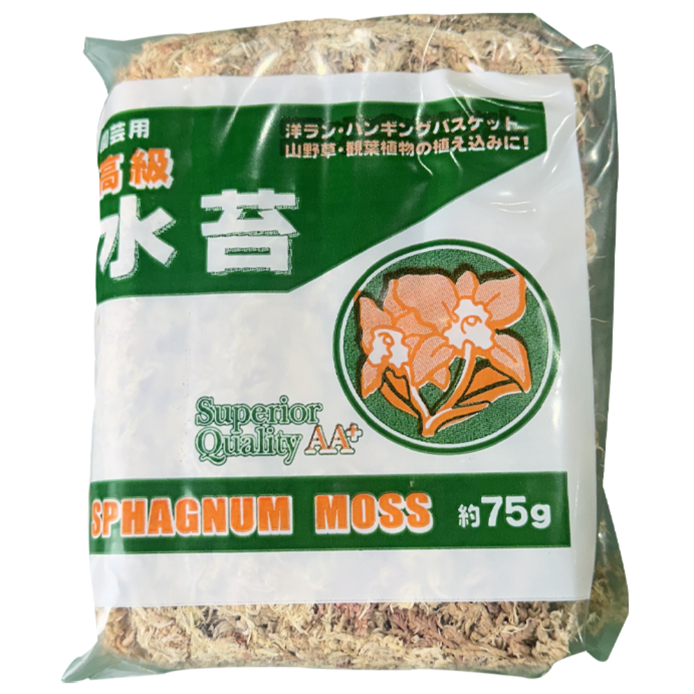 수태 75g 칠레산 압축 건조 재배 풍란 난 수태봉 박쥐란 호접난 자생난 미생물 천연 38,400원