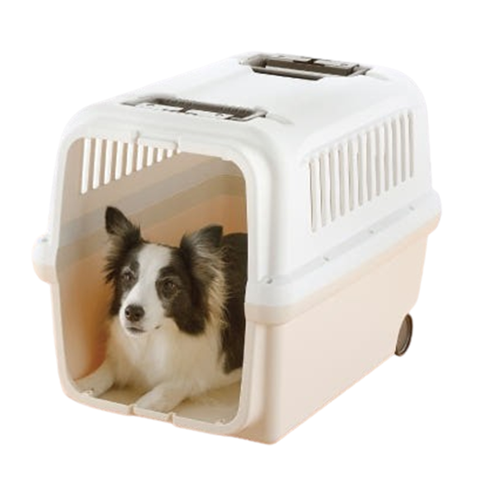 릿첼 캠핑캐리 싱글도어 XL 애견강아지 이동장 고양이이동장 대형견 켄넬 215,000원