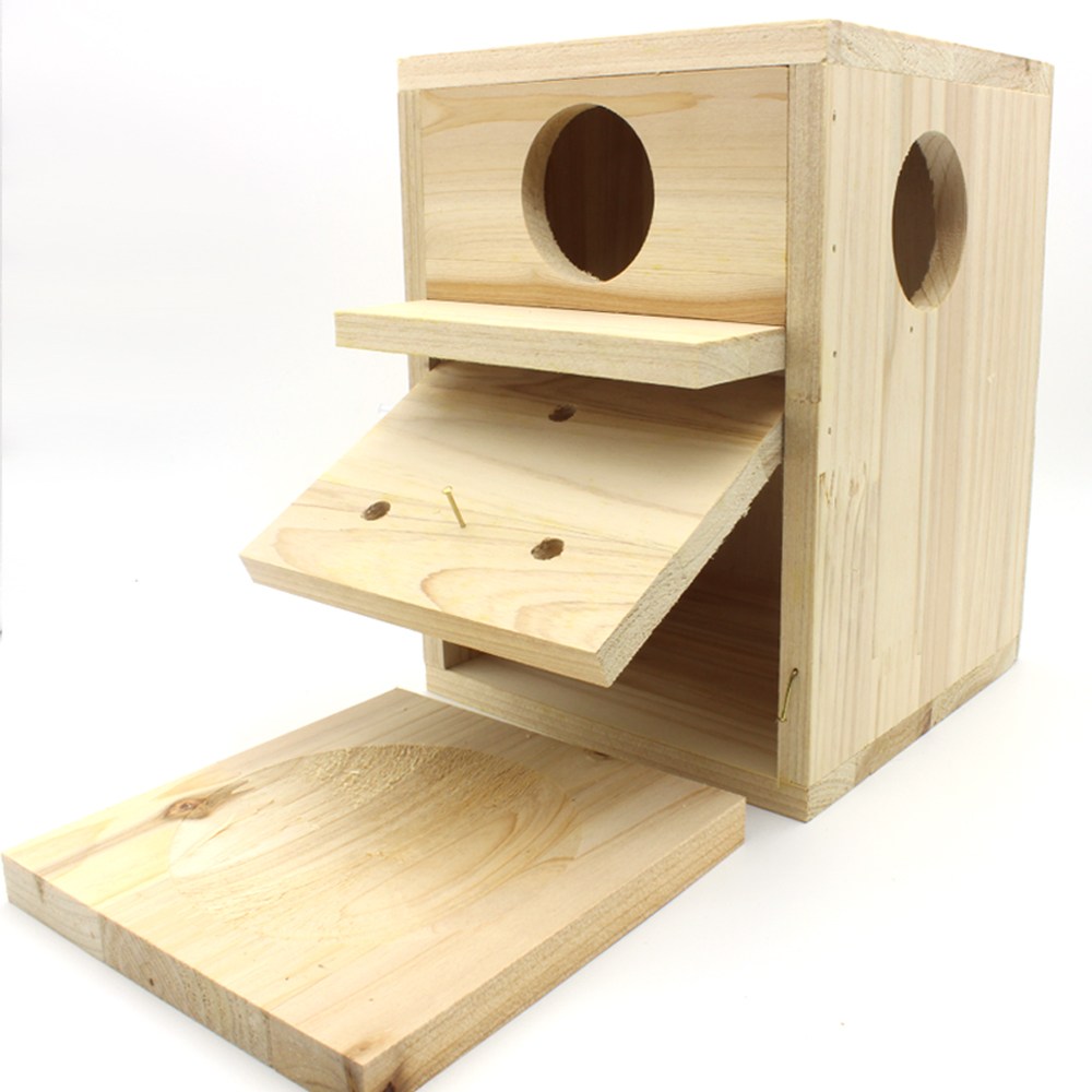 리얼크라운 국내산 모란앵무 보당 알통 ( 보당앵무새 알집 소형새 ) 11,500원