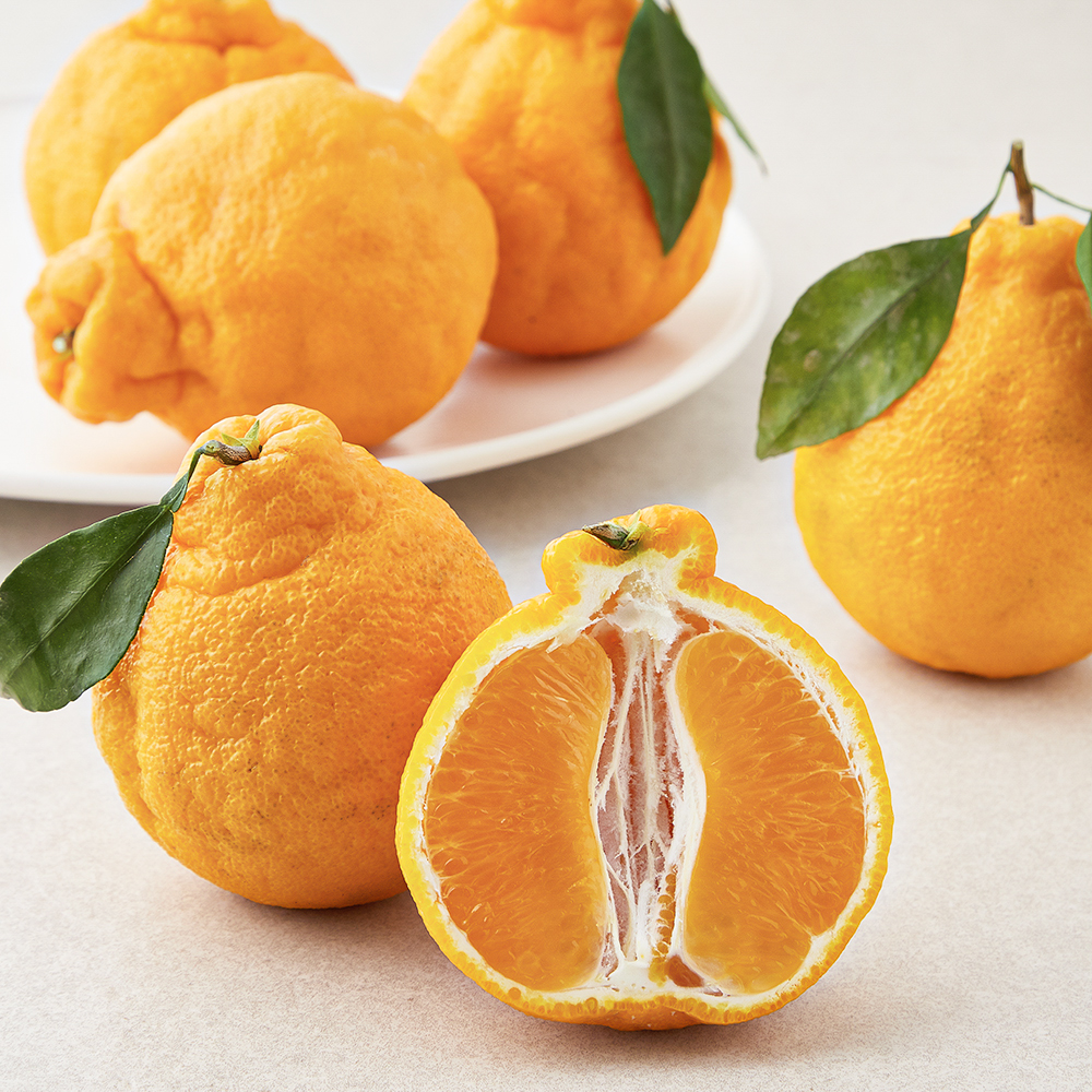 [로켓프레시] 곰곰 당도선별 한라봉 소과 7,480원