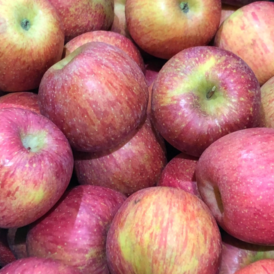 [노마진행사] 최대15brix 껍질째먹는 고당도 꿀 사과, 1박스, 2kg 22,000원