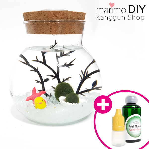 LED어항 350ml세트-마리모 1cm 유리자갈 투명 diy 키트, 1개 11,900원