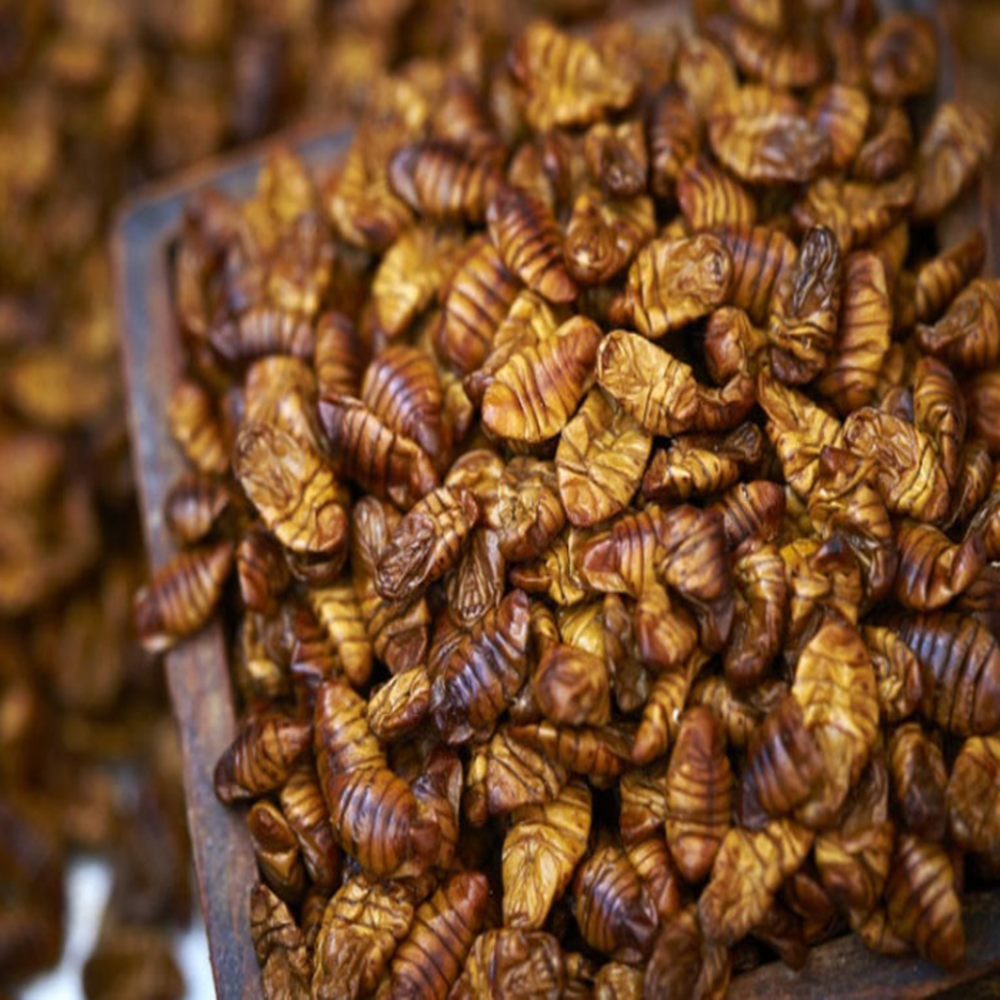 갓 삶아 냉동한 번데기 특품 42,260원