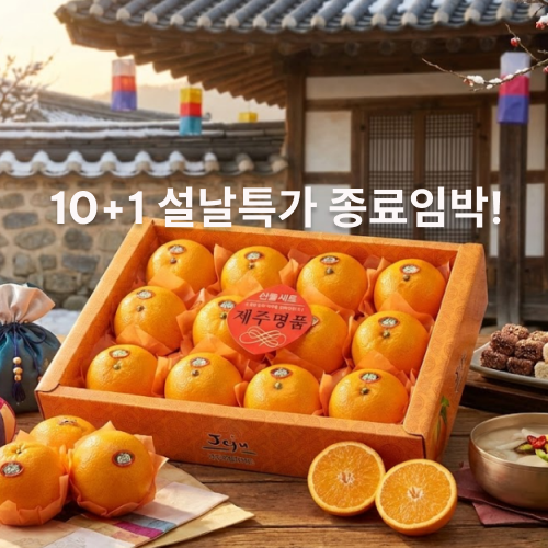 [귀한손님] vip선물용 프리미엄 천혜향 선물세트 31,850원